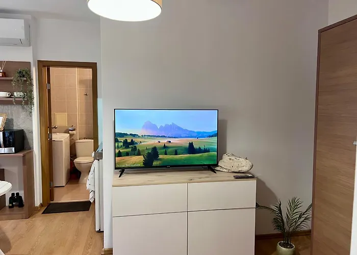 Appartement Excelsior Romantic 50m To The *