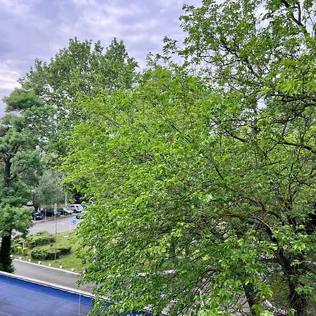 Apartman Excelsior Romantic 50m To The *